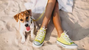 Pet-friendly villa rentals